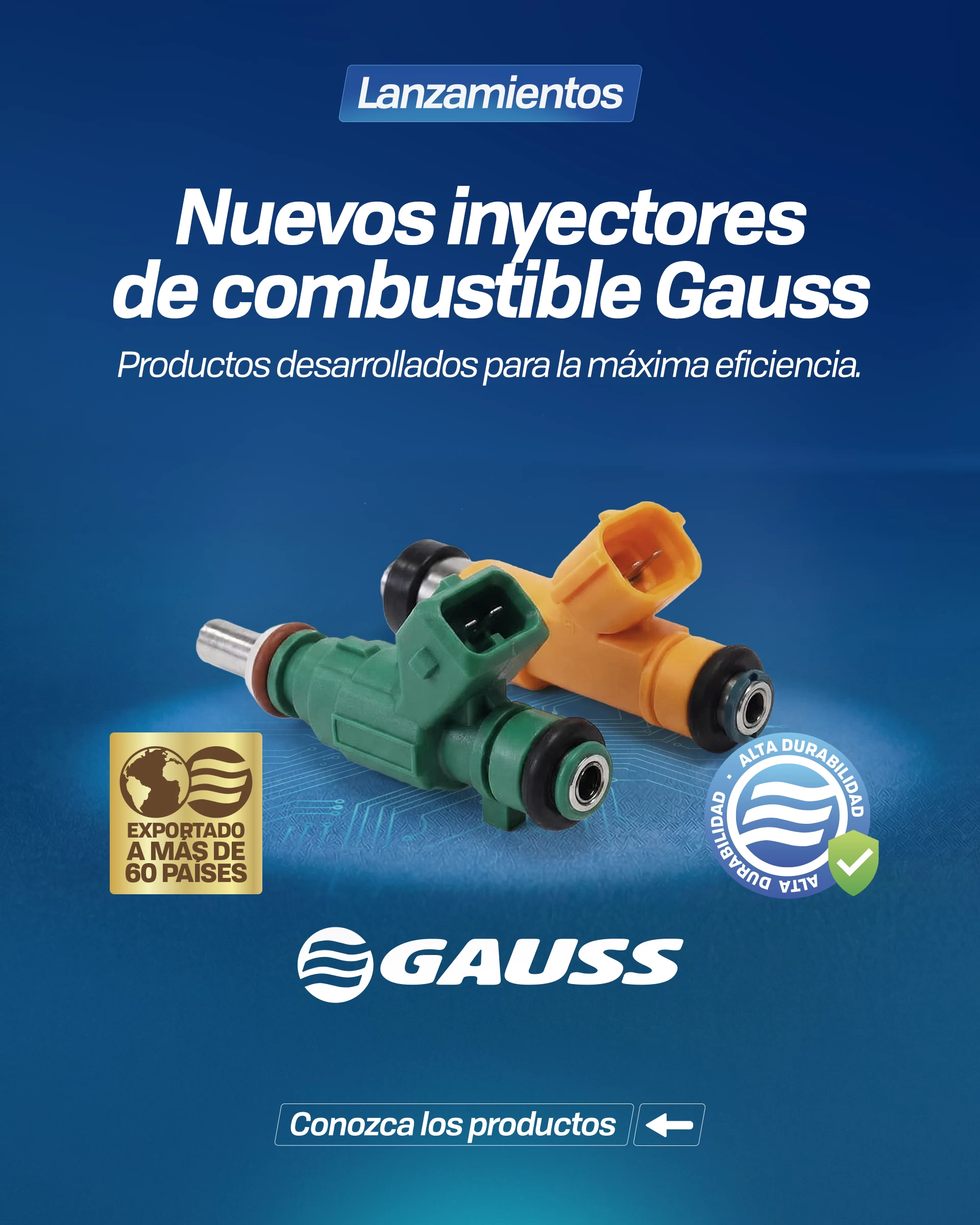 Gauss lanza inyector de combustible